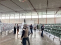 IMG-20261011-WA0042